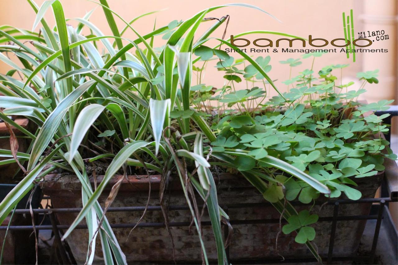 Bamboo Milano Brera Apartment Ngoại thất bức ảnh